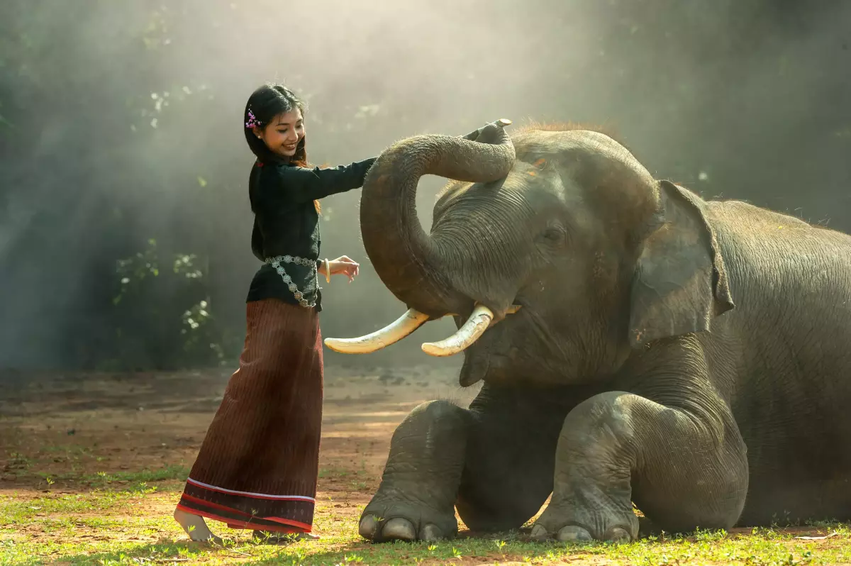 Partido Vegano - Elefante junto a una mujer