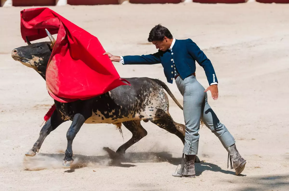 Partido Vegano - Toro toreado por un torero - Los animales son esclavos en el siglo XXI