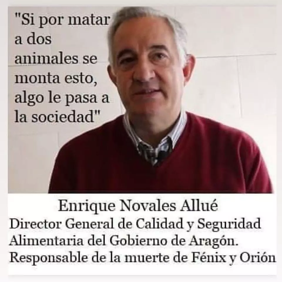 Partido Vegano - Palabras de Enrique Novales Allué (Director General de Calidad y Seguridad Alimentario del Gobierno de Aragón)