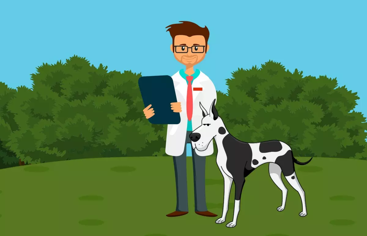 Partido Vegano - Dibujo de veterinario junto a un perro dálmata