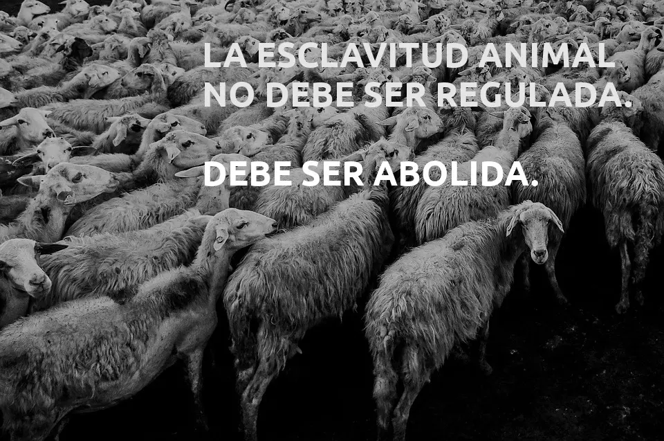 ¡Derechos Animales ya! - La esclavitud animal debe ser abolida - Propaganda vegana