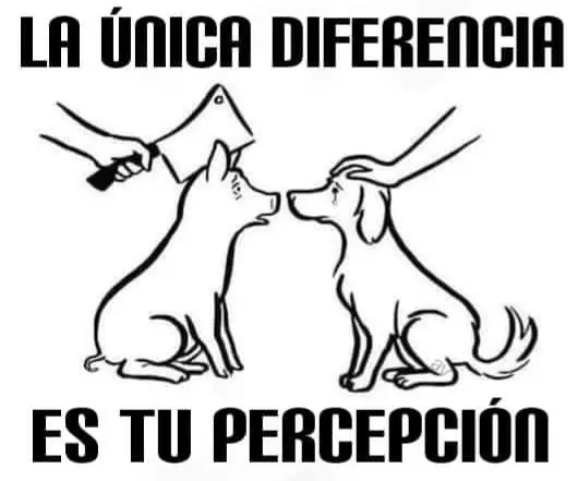 ¡Derechos Animales ya! - La única diferencia es tu percepción (perro y cerdo)