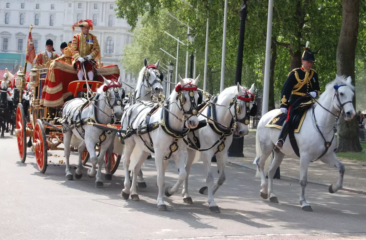 ¡Derechos Animales ya! - Desfile en carroza ceremonial de la Casa Real británica