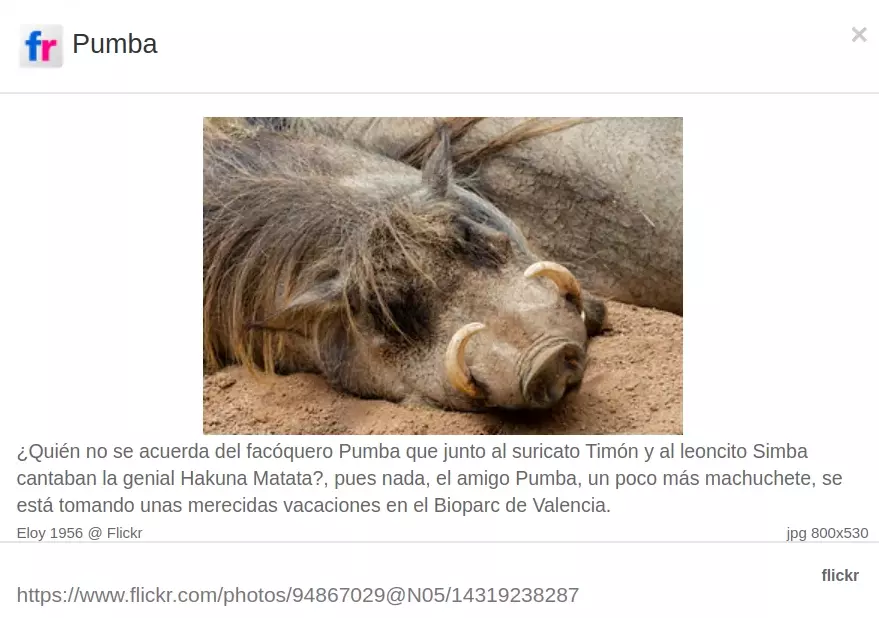 ¡Derechos Animales ya! - Captura comentario Pumba en Bioparc de Valencia