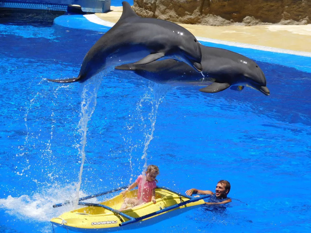 ¡Derechos Animales ya! - Niña en un bote junto a delfines en un delfinario