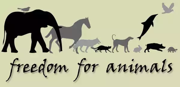 Freedom for animals