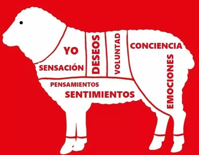 ¡Derechos Animales ya! - Partes de una oveja - El especismo cosifica a los animales como si fuesen trozos o mercancías