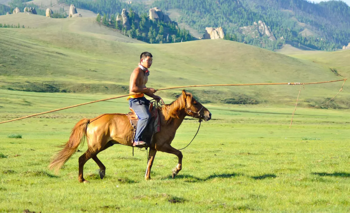 ¡Derechos Animales ya! - Vaquero de Mongolia - Doma de caballos