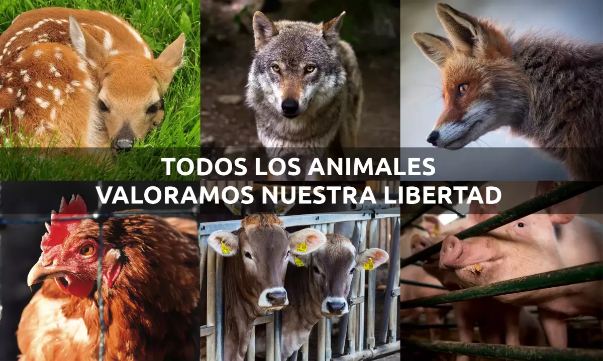 ¡Derechos Animales ya! - Todos los animales valoramos nuestra libertad - Las reconversiones de la explotación animal