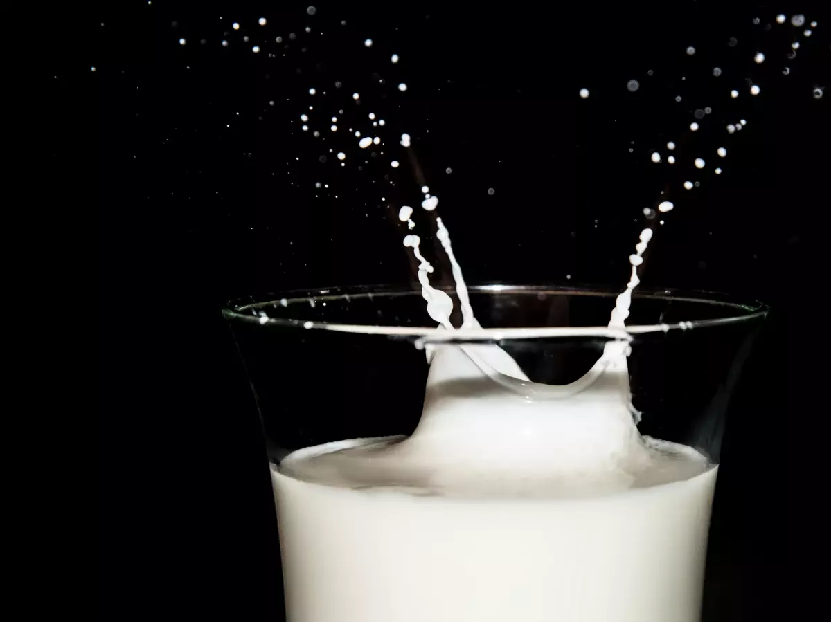 ¡Derechos Animales ya! - Vaso de leche (oro blanco) - Productos lácteos