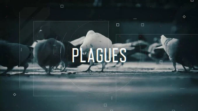 Portada «Plagues» - Programa «Zoom» de À Punt