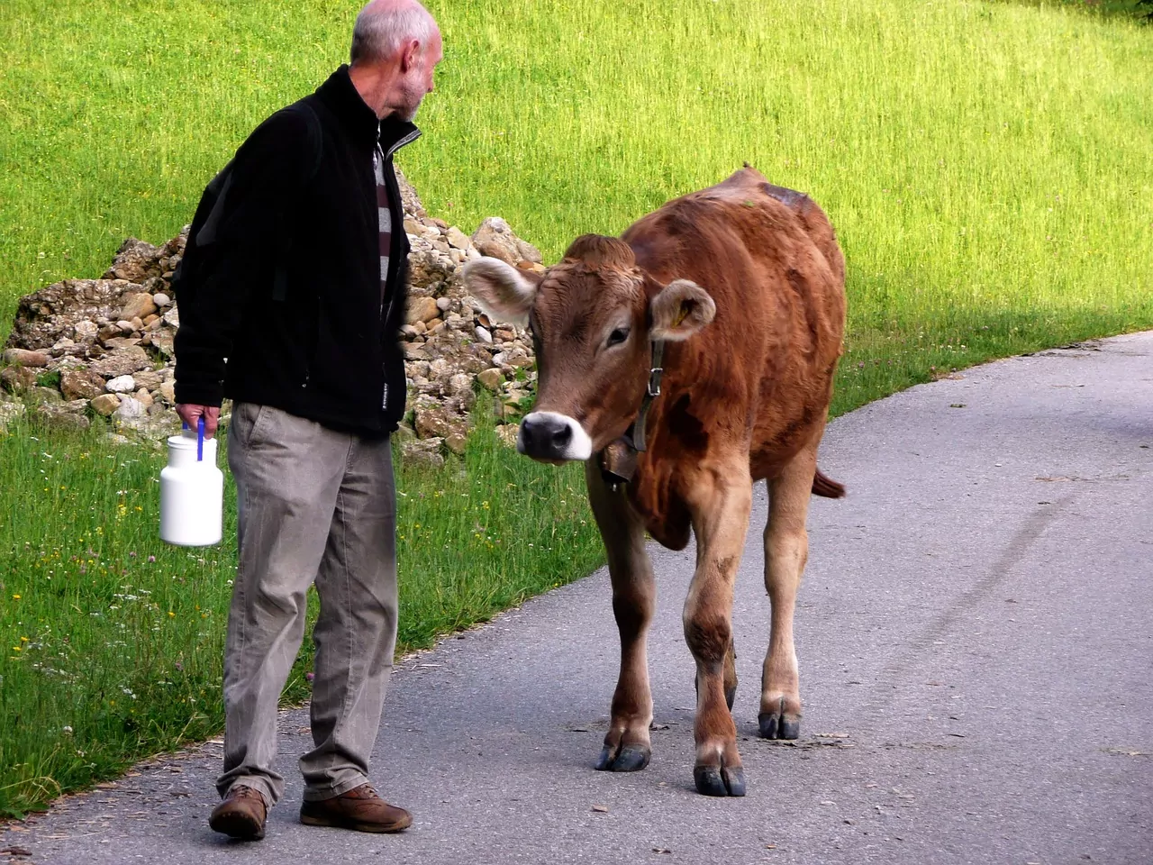 ¡Derechos Animales ya! - Ganadero acompaña una vaca