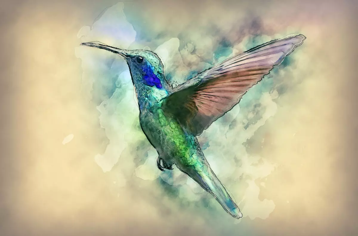 Partido Vegano - Ilustración artística de un colibrí