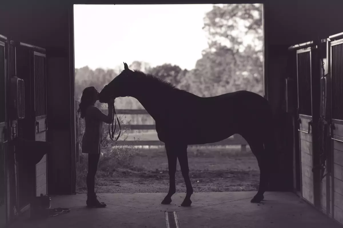 ¡Derechos Animales ya! - Chica besa a un caballo de perfil en un establo