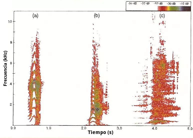 Espectro de frecuencias de las vocalizaciones de los cocodrilos