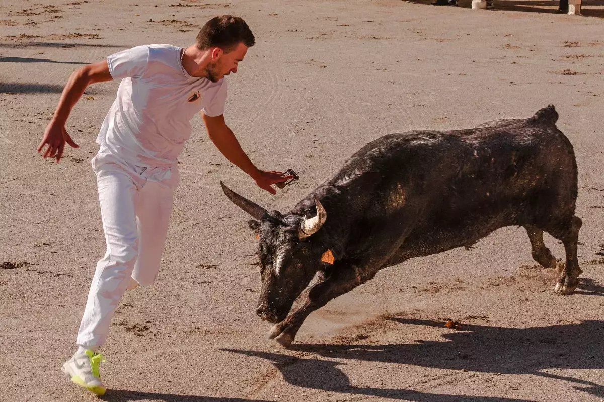 ¡Derechos Animales ya! - Hombre esquiva a un toro en un festejo taurino