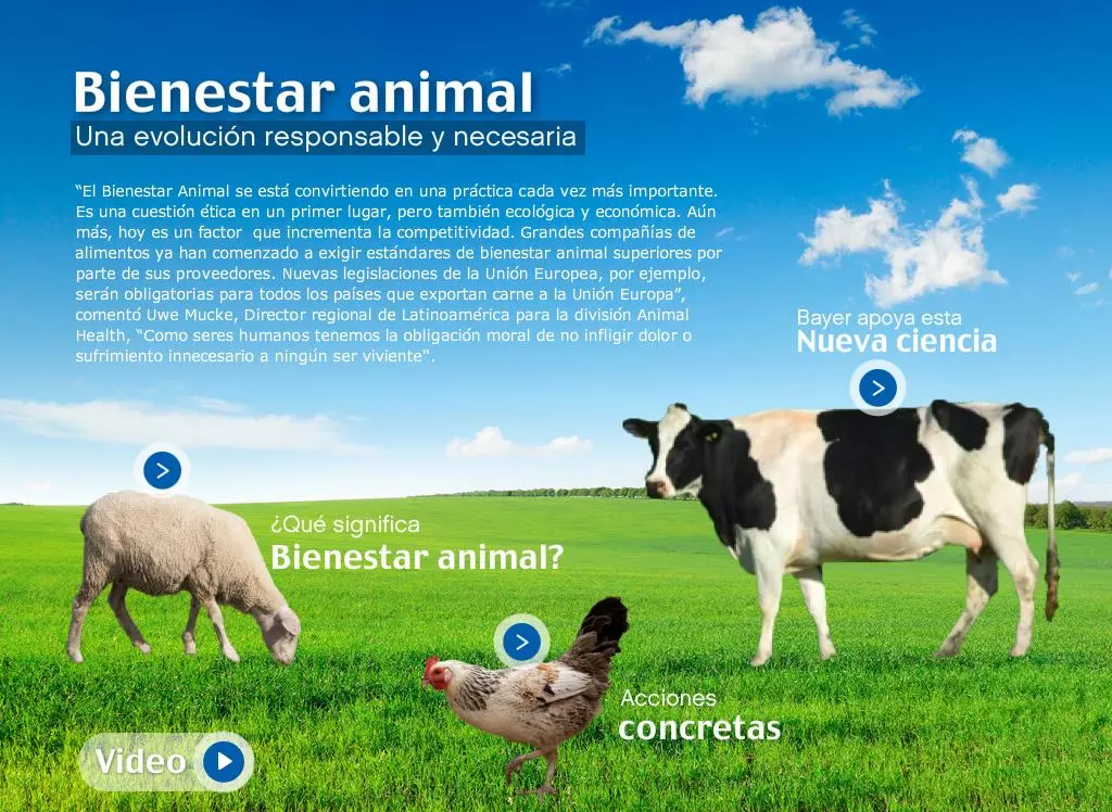 ¡Derechos Animales ya! - Publicidad de bienestar animal con animales de granja - Sensocentristas aliados de la industria de la explotación animal