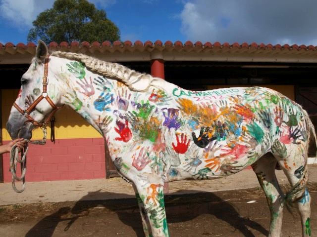 ¡Derechos Animales ya! - Caballo pintado por niños en una granja escuela