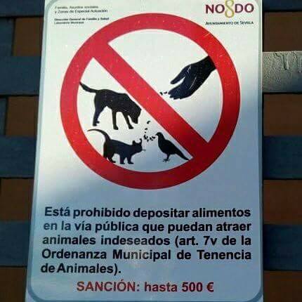 Señal prohibido alimentar animales indeseados en Sevilla - Los humanos sienten desprecio por la vida - Principio de Hanlon - Antropocentrismo