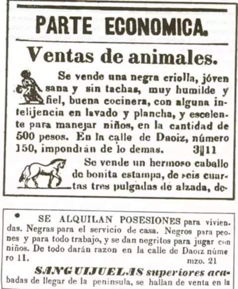 ¡Derechos Animales ya! - Anuncio en un periódico de La Habana, en 1839 - Esclavo natural