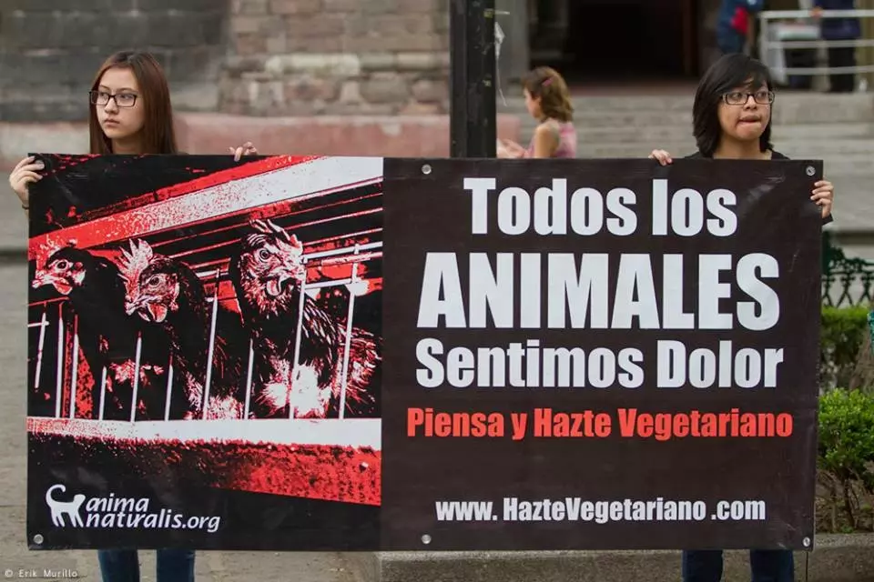 ¡Derechos Animales ya! - Manifestación de Anima Naturalis en México