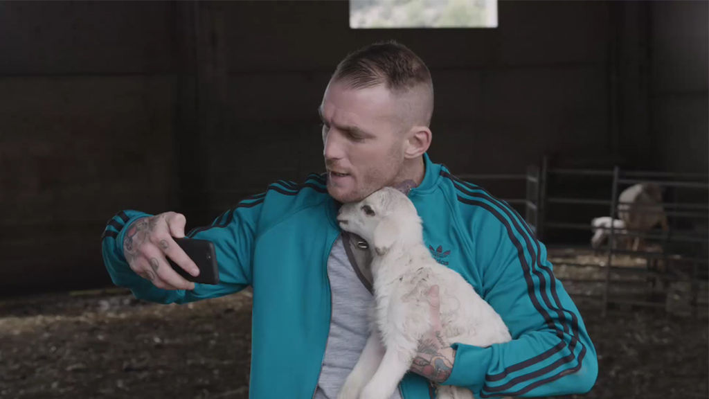 Javi, alias el «Chatarras», rescatando a una oveja para el programa «A cara de perro» - Circo mediático del animalismo