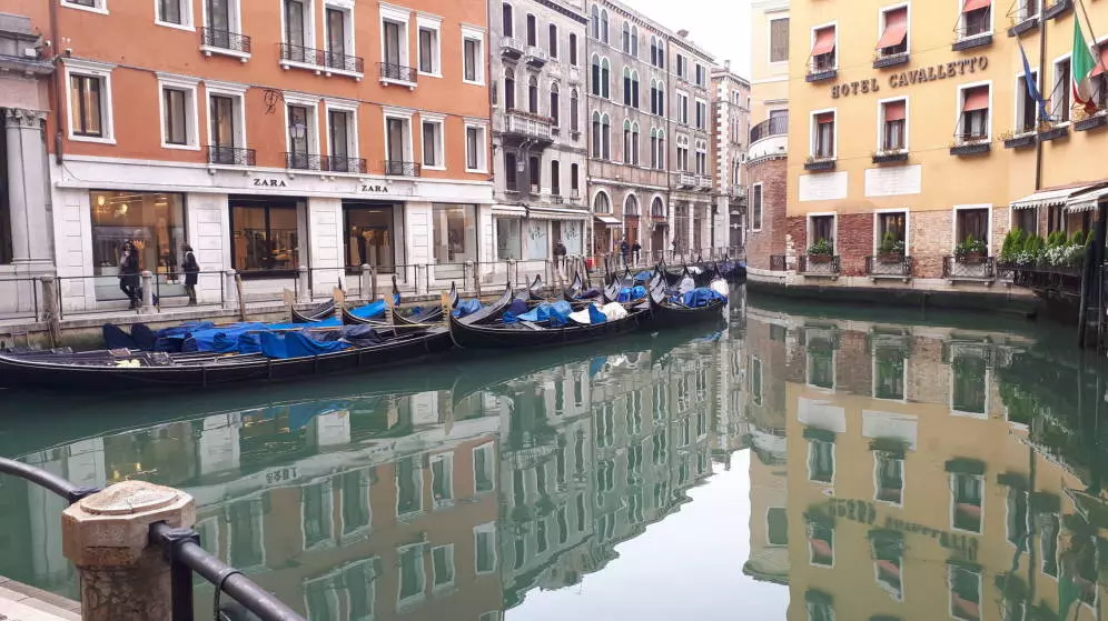 Derechos Animales ya - Los canales de Venecia están limpios por el coronavirus