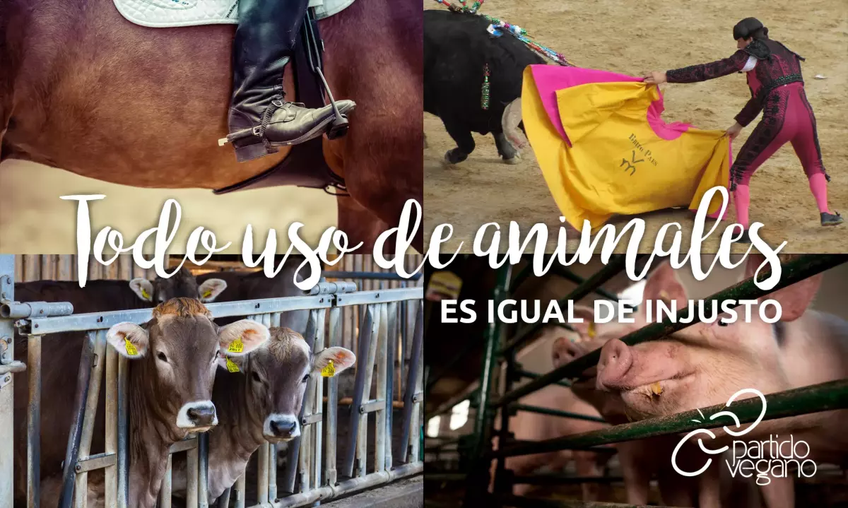 Partido Vegano - Todo uso de los animales es injusto - El Gobierno subvencionará las corridas de toros por la pandemia del coronavirus - Dirección General de los Derechos Animales - Ayudas al sector cultural