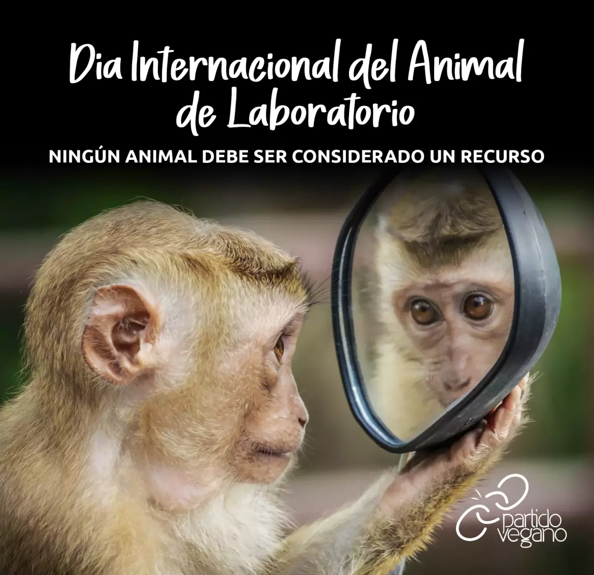 Partido Vegano - Día Internacional del Animal de Laboratorio