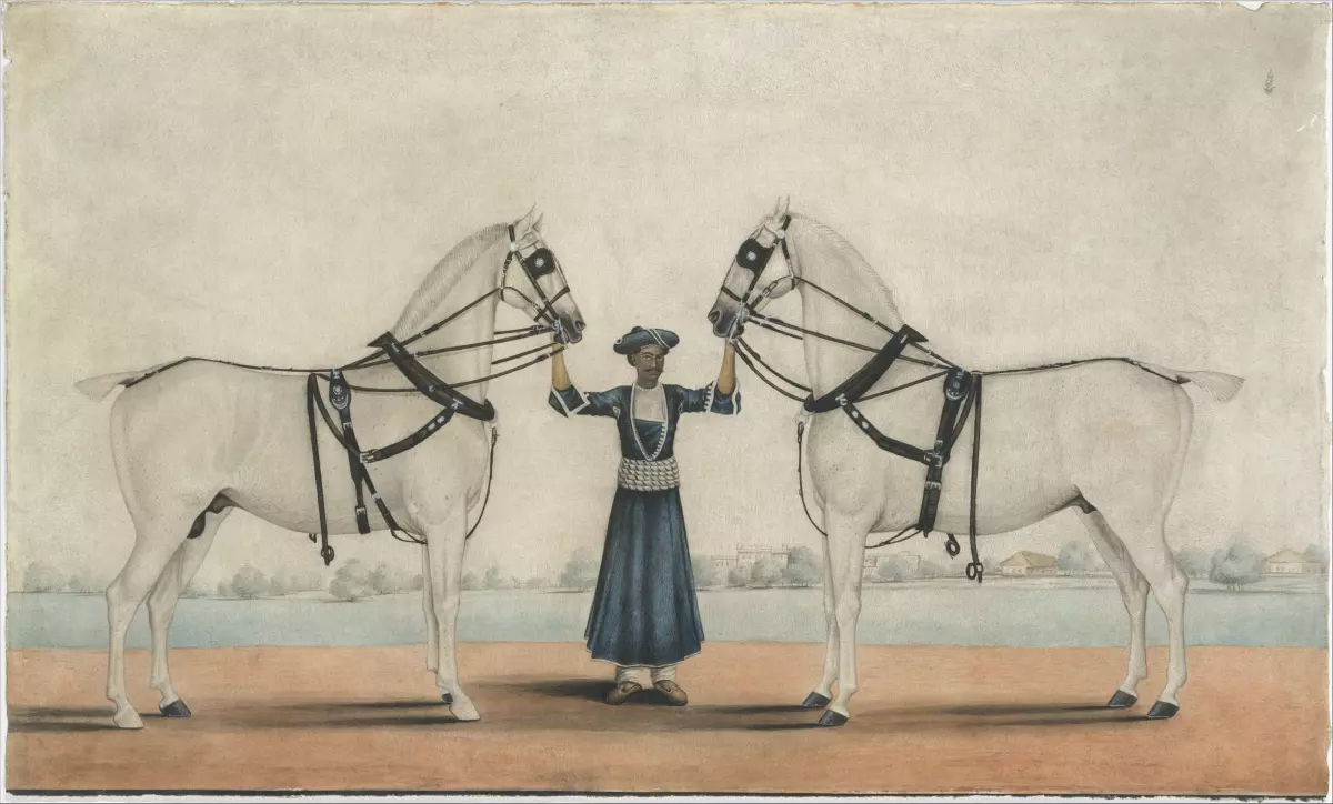 ¡Derechos Animales ya! - Ilustración de un hombre indio que sujeta dos caballos de tiro