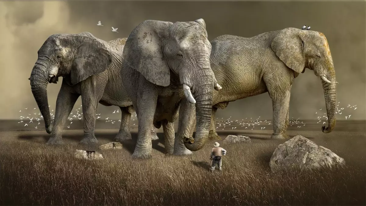 ¡Derechos Animales ya! - Montaje fotográfico de elefantes gigantes