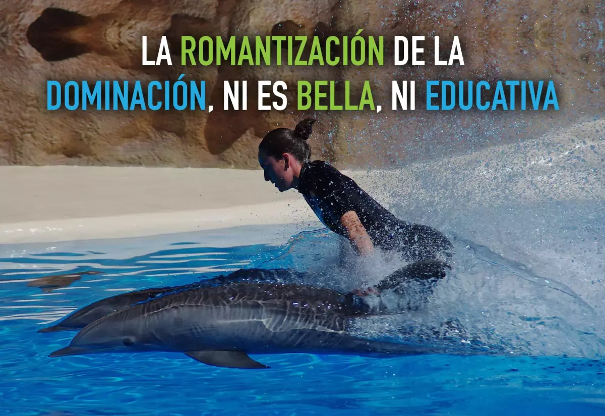 ¡Derechos Animales ya! - Día Internacional de Ballenas y Delfines